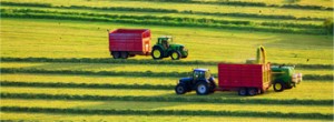Landwirtschaftsrecht