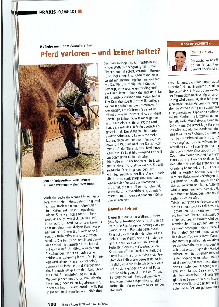 Artikel Pferd verloren und keiner haftet